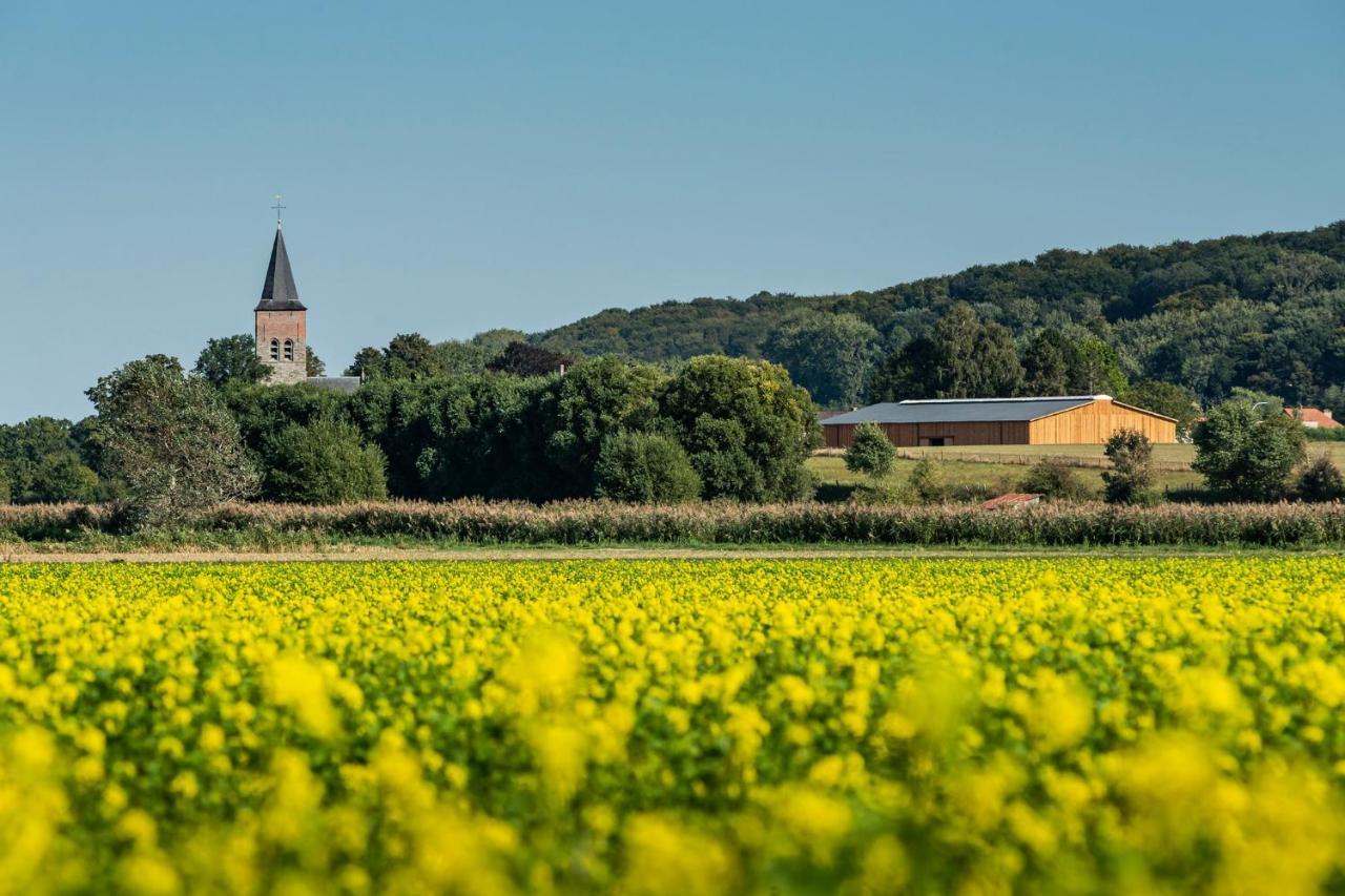B@B Martinushoeve Oudenaarde Exteriér fotografie