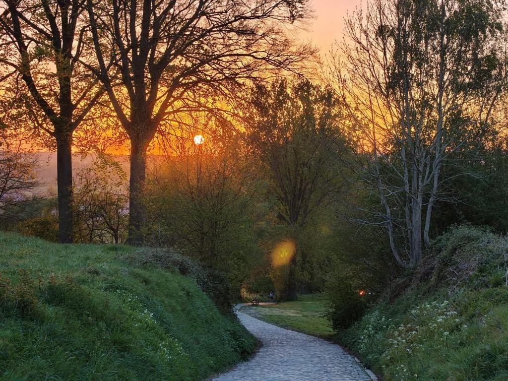 B@B Martinushoeve Oudenaarde Exteriér fotografie